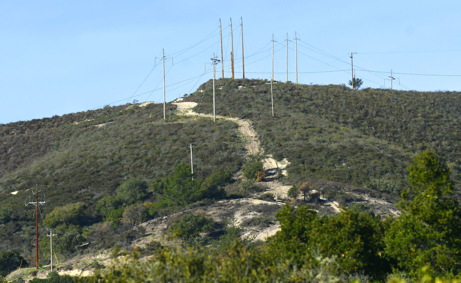 Fire break